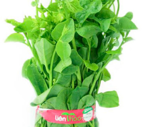 Mua rau sạch bằng một cú click chuột