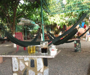 Chủ quán nước tranh thủ môi giới bán dâm
