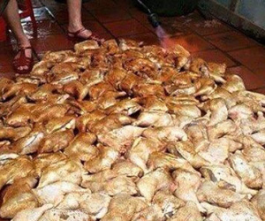 Vụ "nướng gà bằng đèn khò" khiến chủ quán cơm ở Sài Gòn méo mặt