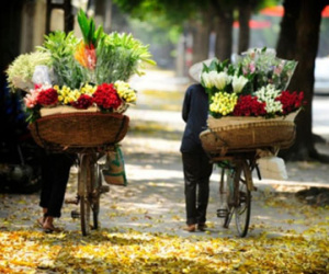 Bắc Bộ có nắng ấm ngày chủ nhật