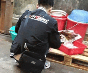 Hong Kong bắt chủ cửa hàng Việt Nam vì nghi giết mổ chó