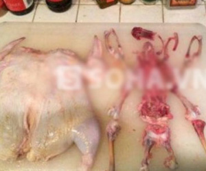 Dân mạng "phát cuồng" vì nam sinh viên làm gà quá "bá đạo"