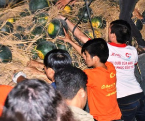 Dân Sài Gòn mua dưa hấu hỗ trợ nhà vườn Quảng Nam