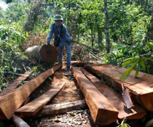 “Lâm tặc” chém trọng thương hai cán bộ bảo vệ rừng