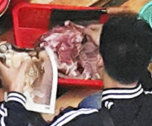 Vụ người Việt bán thịt chó sôi sục Hồng Kông