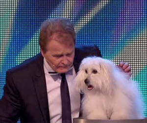 Britain's Got Talent: Khán giả choáng váng với chú chó biết... nói và hát