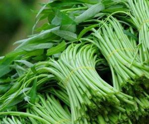 Những loại rau bẩn nhất vào mùa hè