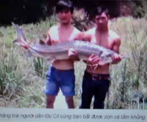 Sự thật về việc bắt được cá tầm "khủng" ở Lâm Đồng