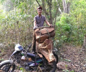 Clip phá rừng được tung lên trang facebook