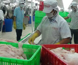 Đồng euro mất giá, xuất khẩu Việt lỗ đậm
