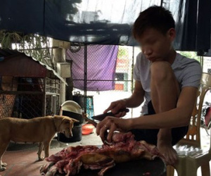 Lạnh người xem mèo bị dìm chết, xẻ thịt ở Thái Bình