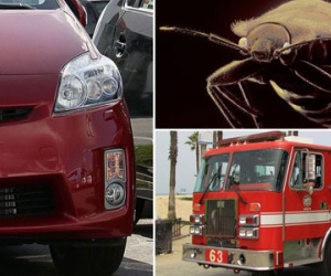 Suýt chết cháy trong xe vì đổ rượu giết… bọ rệp