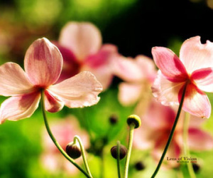 Thứ bảy của bạn (18/4)