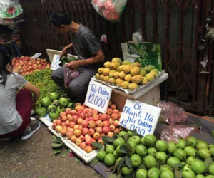Hoa quả 5 ngàn/kg đổ đống khắp vỉa hè Hà Nội