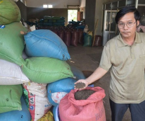 Ôm hận vì thương lái Trung Quốc