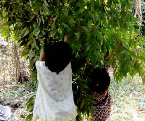 Vợ bỏ đi, cha xâm hại tình dục 2 con gái