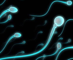 Những vấn đề có thể xảy ra với tinh dịch