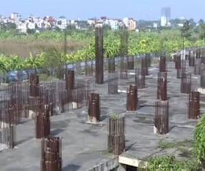 Ông chủ bỏ trốn: Tricon Tower, Sky Garden thành điểm chết