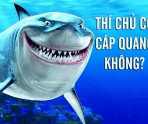Dân mạng chế ảnh rần rần vụ cáp quang gặp sự cố