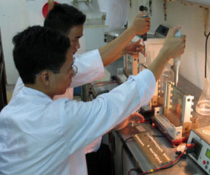 Sau ly hôn, xét nghiệm biết cả 3 con không phải con ruột