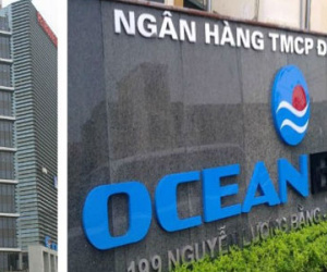 Mất trắng ở OceanBank: Cần làm rõ sai phạm của PVN