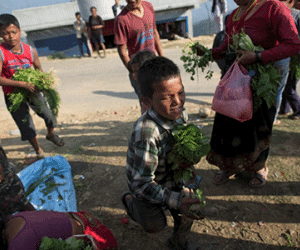 Nepal bị chỉ trích gây cản trở với hàng cứu trợ động đất