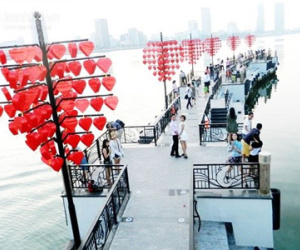 Ngắm “cầu tình yêu” lãng mạn như trong phim Hàn ở Đà Nẵng