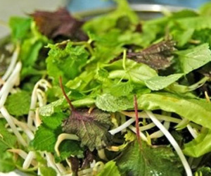 Ăn rau sống - mối nguy ít người biết