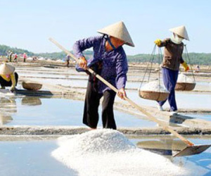 Hết bán dưa hấu lại mua muối giúp diêm dân