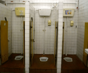 Bán phân người có thể kiếm gần 300 triệu đồng mỗi năm