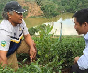 Chuyên gia Mỹ “nhíu mày” với thực tế mắc-ca Việt Nam