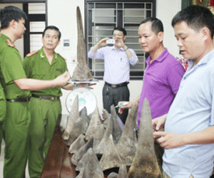 Bắt vụ vận chuyển 37 kg sừng tê giác bằng tàu hỏa