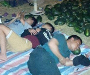 Vụ "ăn" 2.000 đồng/kg dưa: Người mua 10 tấn hắc mỹ nhân nói gì?