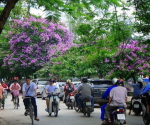 Đón không khí lạnh giữa hè, Bắc Bộ mát mẻ