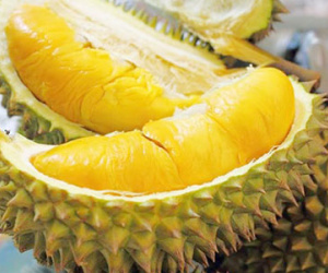 Sầu riêng giúp nam giới hết “sầu chuyện ấy”