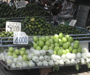 Đến lượt ổi miền Tây chờ giải cứu