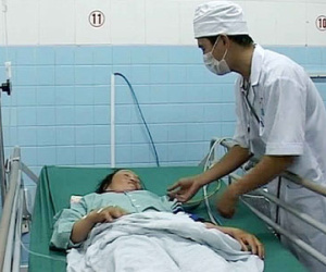 Hai người bị rắn lục đuôi đỏ cắn khi đang gặt lúa
