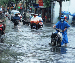 Người dân Sài Gòn rùng mình lội nước thối sau mưa