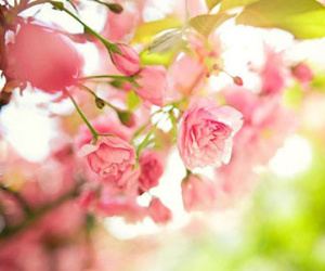Thứ hai của bạn (18/5)
