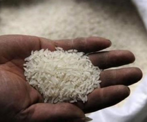 Gạo "nhựa" độc hại từ Trung Quốc đe dọa người dân châu Á