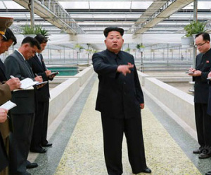 Kim Jong-un nổi giận vì trang trại rùa không nuôi được tôm hùm