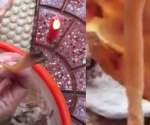 Xôn xao clip mực khô xé không đứt, ngâm nước giãn nở gấp nhiều lần