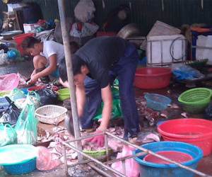 Cận cảnh đường đi của cá thối từ chợ đến quán ăn