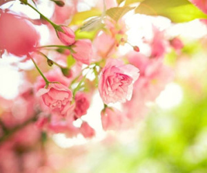 Thứ sáu của bạn (22/05)