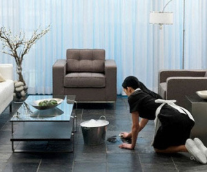 Éo le cảnh osin bị chủ gạ tình, nghi trộm tiền