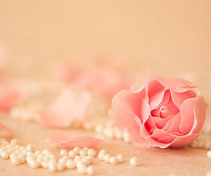 Thứ hai của bạn (25/5)