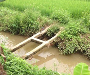 Triệt sản 10 năm, bất ngờ cưỡng bức tình dục "cấp trên"