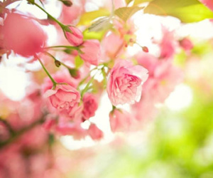 Thứ ba của bạn (26/05)