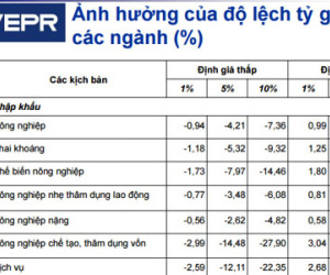 Định giá VND cao đã “báo hại” 5 ngành ở Việt Nam?