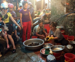 Nóng hầm hập: Thịt ế sưng, xếp hàng cả đêm mua cua đồng